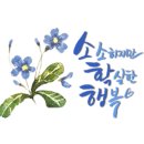 청자산수점 이미지
