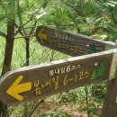 품걸리오지마을길(봄내길 6코스) 이미지