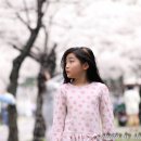 꽃보라동산 이미지