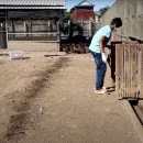 마우농장 이미지