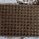 사남매농장2 이미지