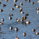 (주)해피맘 이미지