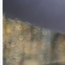 금곡한의원 이미지