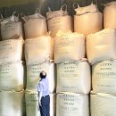 농협양곡창고 앞 이미지