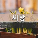 벌말농원 | 반려 식물 _ 부천 수주 농원 아프리카 희귀 다육 식물...분갈이 흙 원예 용품 구매 후기 일지 기록