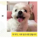 커피사진관