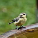 부용공인중개사사무소 이미지