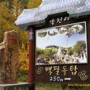 월통1교