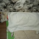 마이산뜰아래 이미지