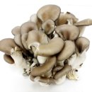 (주)로가닉 이미지