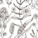 바닷가에햇살한스푼 이미지