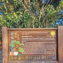 기청산식물원 이미지