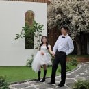 (주)오감 | 오감스튜디오 인천 웨딩촬영 솔직후기(유색드레스+헤어변형)