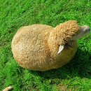 장군목장 이미지