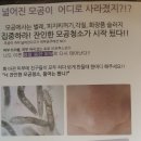 공주 피부관리실 이미지