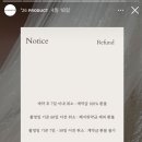 W4. 1인 작가 감성 아이폰스냅 [실루엣 스냅] 계약 후기 : PJ호텔 아이폰 스냅, 짝꿍 할인