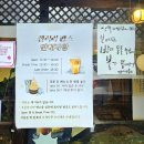 색연필 식물 세밀화 | 강릉 카페 추천 갤러리밥스 초옥이커피 내돈내산 후기
