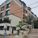 강남-244 이미지