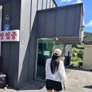 가평 중앙 바지락칼국수,막국수,순대국
