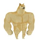 서울경희한의원 이미지