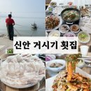 민어회가 맛있는 신안 맛집, 신안 횟집 거시기 후기