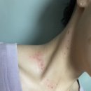 미드림성형외과의원 이미지