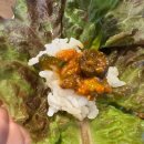 [충북혁신도시 삼겹살 맛집]심사숙고 숙성고기 무한리필 솔직 후기