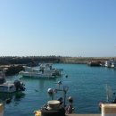 코코애월 이미지