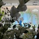 성남가든 | 송파 성남 웨딩홀 '엘로라인가든' 하객 뷔페 후기 | 27년 가성비 견적
