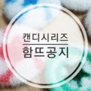 스타캔디 이미지