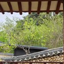 정자문화공원 | 여행 30일차 - 함양·산청여행 (오도재, 남계서원, 청계서원, 산청꽃잔디축제, 황매산, 차황문화공원) 후기