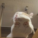 말랑말랑 이미지