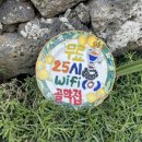 동복에 머물다 | 동복리 무인카페 꼭 방문해보세요🤎