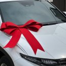 김포한강11로-L 이미지