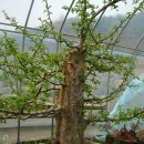 우목농원 이미지