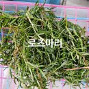 로즈마리세탁소 네이버블로그