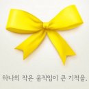 리본