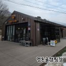이지캠핑장 | 명돈골캠핑장│가평 유아놀이터와 수영장있는 계곡뷰 캠핑장 후기 예약방법