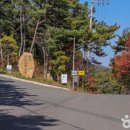 남목전통시장 이미지