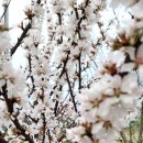 주역강의 | 왕사남 과 함께