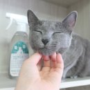 메디클루 이미지