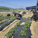 괴산군농업기술센터 이미지