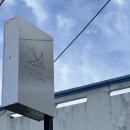 빈티지칵티 | 제주도 남서쪽 소품샵 9곳 추천. 빈티지 의류부터 문구까지