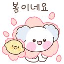 솜댕 이미지