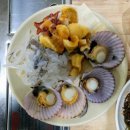 주문진 방파제회센타 이미지