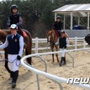 홍성군승마장 이미지