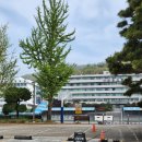 선정고등학교 | GTQ 포토샵 1급 합격! 시험장 후기 &amp; 공부법