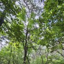 솔과황토 이미지