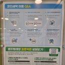 남양주 별내 크린토피아 코인워시에서 왕 큰 패밀리 침대 매트 세탁 후기