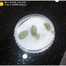 평제한의원 이미지